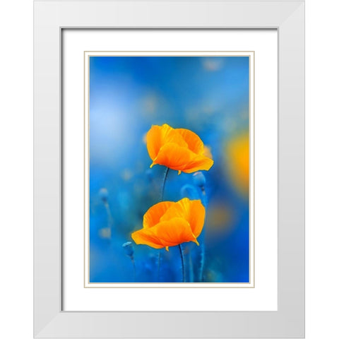 Wild Poppies White Modern Wood Framed Art Print with Double Matting by Love Grams
