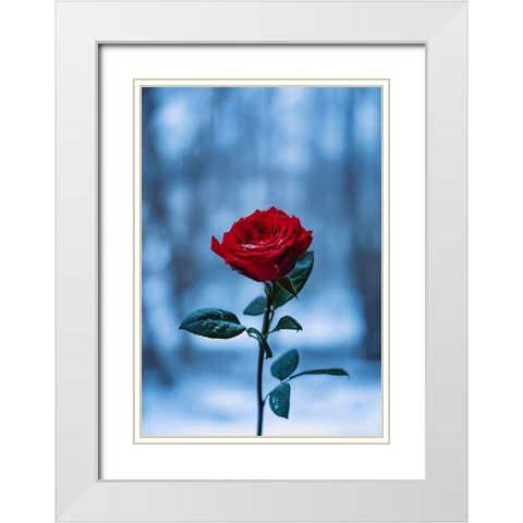 Winter Rose White Modern Wood Framed Art Print with Double Matting by Love Grams