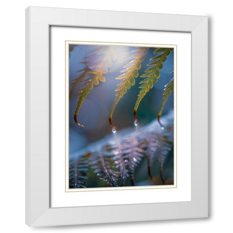 IMG_7584 White Modern Wood Framed Art Print with Double Matting by Love Grams