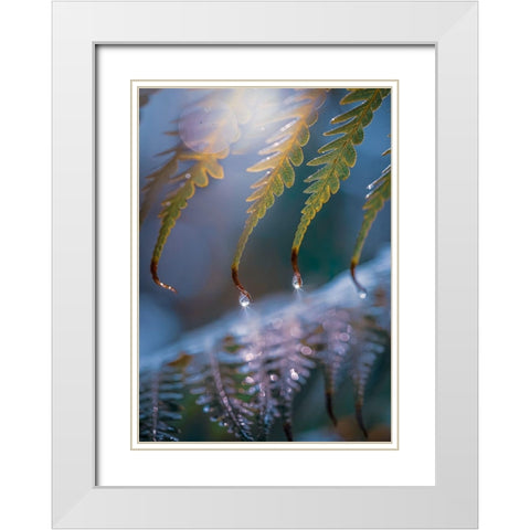 IMG_7584 White Modern Wood Framed Art Print with Double Matting by Love Grams