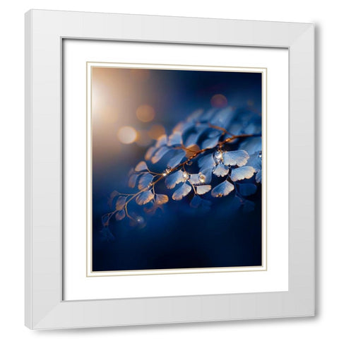 IMG_7585 White Modern Wood Framed Art Print with Double Matting by Love Grams
