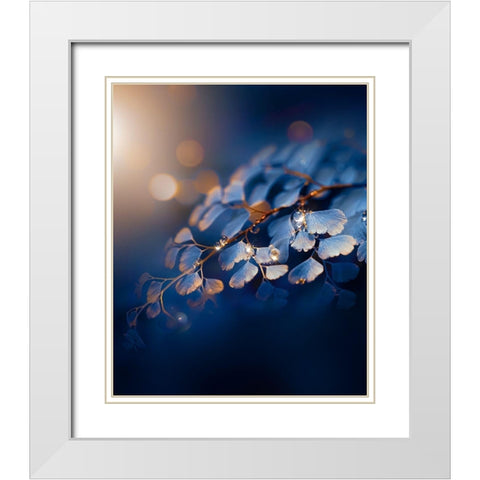IMG_7585 White Modern Wood Framed Art Print with Double Matting by Love Grams