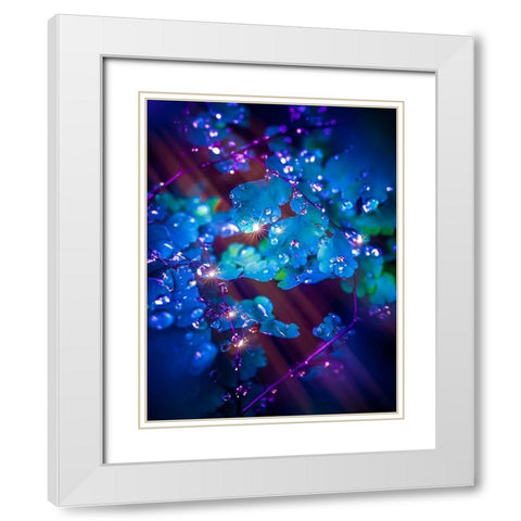IMG_7586 White Modern Wood Framed Art Print with Double Matting by Love Grams