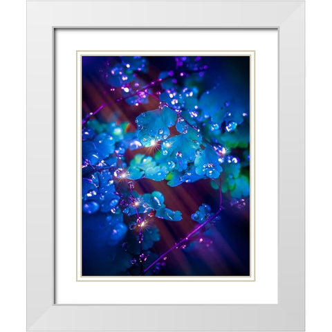 IMG_7586 White Modern Wood Framed Art Print with Double Matting by Love Grams