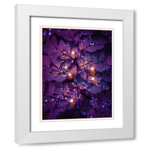 IMG_7591 White Modern Wood Framed Art Print with Double Matting by Love Grams