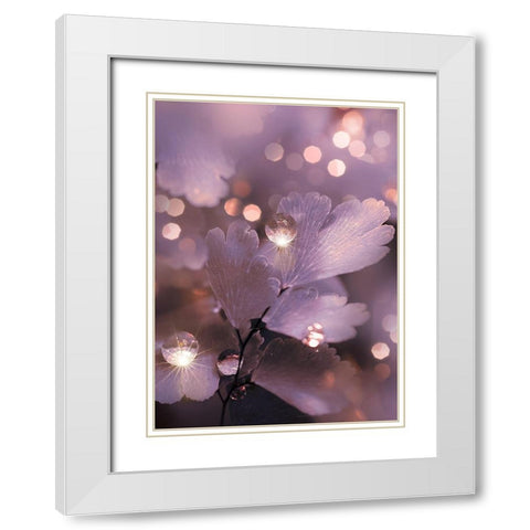 IMG_7594 White Modern Wood Framed Art Print with Double Matting by Love Grams