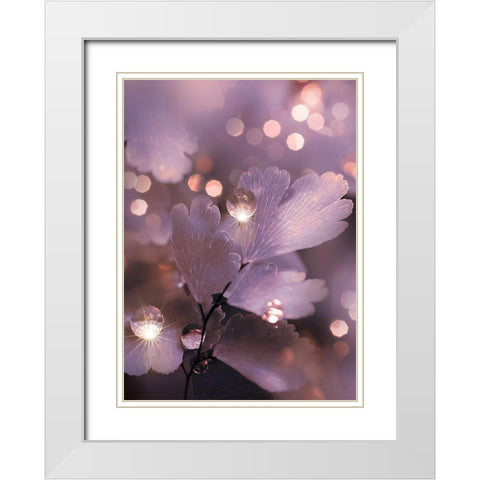 IMG_7594 White Modern Wood Framed Art Print with Double Matting by Love Grams