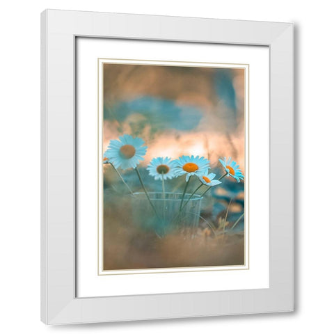 Blue Daisies White Modern Wood Framed Art Print with Double Matting by Love Grams