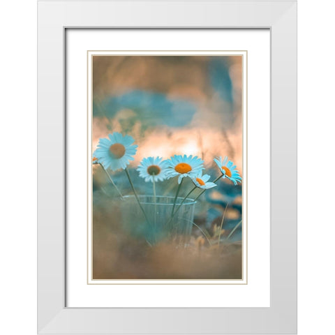 Blue Daisies White Modern Wood Framed Art Print with Double Matting by Love Grams