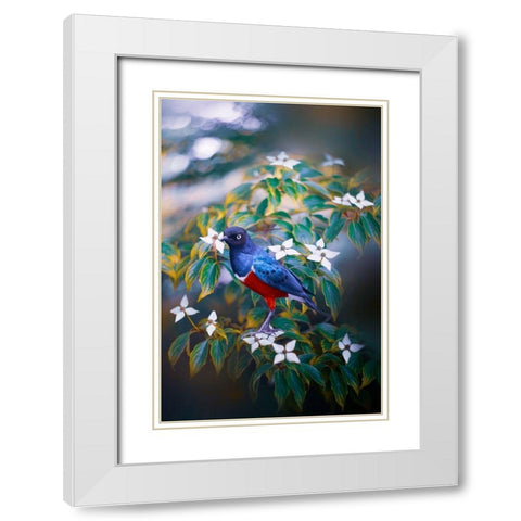 Dark Memory White Modern Wood Framed Art Print with Double Matting by Love Grams