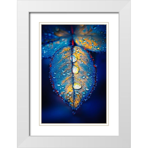 Drops of Jupiter White Modern Wood Framed Art Print with Double Matting by Love Grams