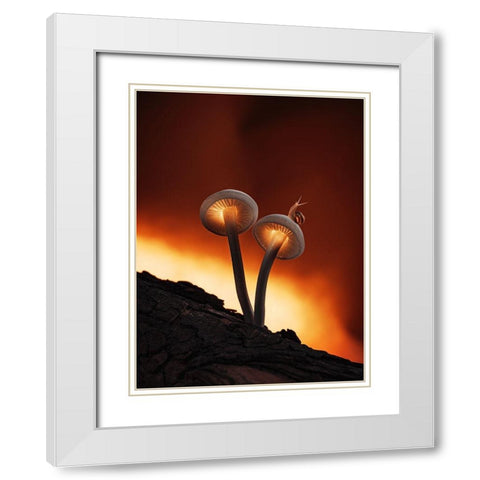 Fiery Mushrooms White Modern Wood Framed Art Print with Double Matting by Love Grams