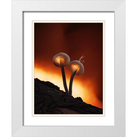 Fiery Mushrooms White Modern Wood Framed Art Print with Double Matting by Love Grams