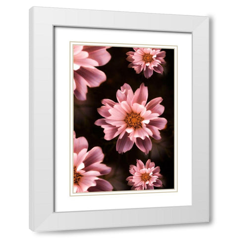 Floral Pattern White Modern Wood Framed Art Print with Double Matting by Love Grams