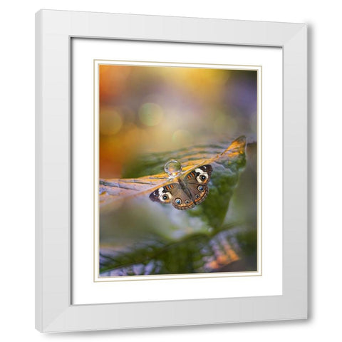 Green Haze White Modern Wood Framed Art Print with Double Matting by Love Grams