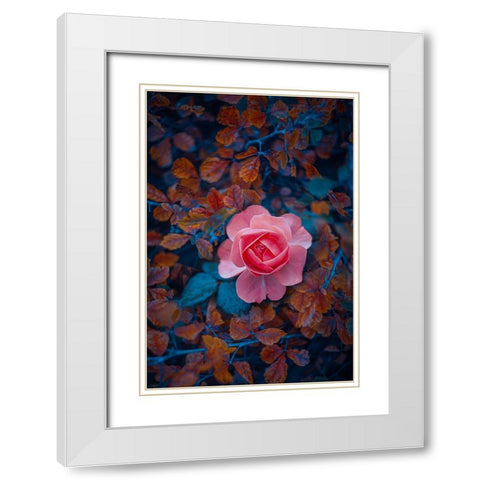 If There Be Thorns White Modern Wood Framed Art Print with Double Matting by Love Grams