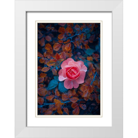 If There Be Thorns White Modern Wood Framed Art Print with Double Matting by Love Grams