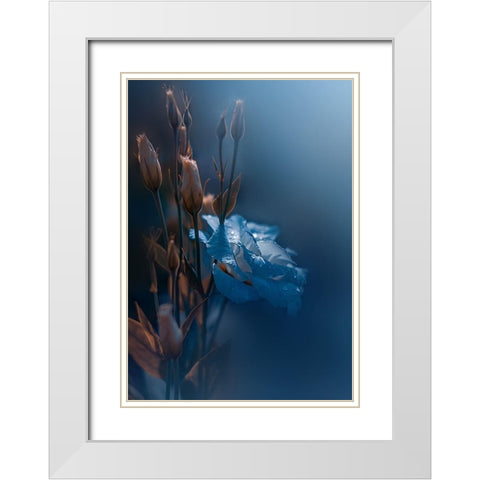 Kiss Me at Dawn White Modern Wood Framed Art Print with Double Matting by Love Grams