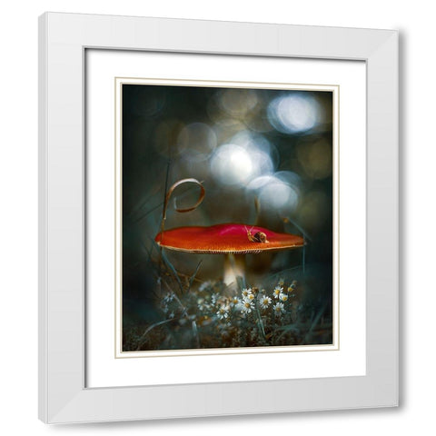 Mushroom Fantasy White Modern Wood Framed Art Print with Double Matting by Love Grams