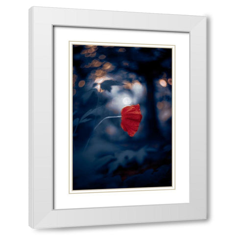 Night of the Poppy White Modern Wood Framed Art Print with Double Matting by Love Grams