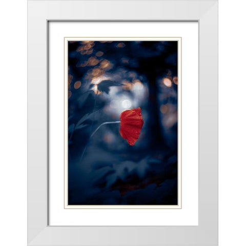 Night of the Poppy White Modern Wood Framed Art Print with Double Matting by Love Grams