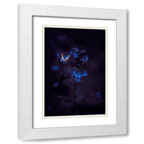 Nightmare Wonders White Modern Wood Framed Art Print with Double Matting by Love Grams