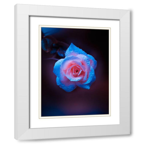 Rose Drops White Modern Wood Framed Art Print with Double Matting by Love Grams