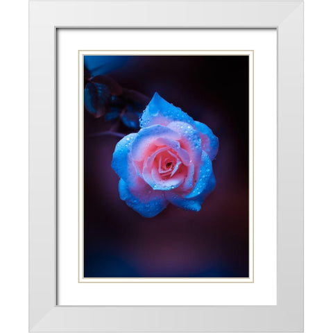 Rose Drops White Modern Wood Framed Art Print with Double Matting by Love Grams