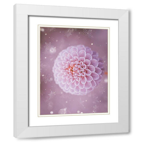 Snowflakes and Cotton Candy White Modern Wood Framed Art Print with Double Matting by Love Grams