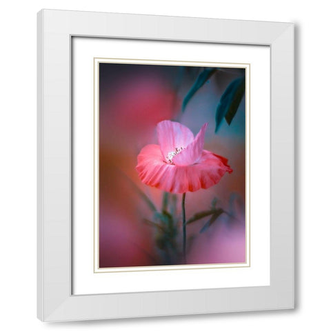 Summer Warmth White Modern Wood Framed Art Print with Double Matting by Love Grams