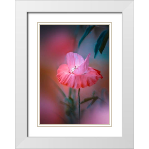 Summer Warmth White Modern Wood Framed Art Print with Double Matting by Love Grams