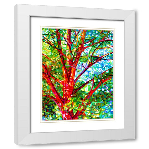 Summer Medley White Modern Wood Framed Art Print with Double Matting by Budan, Mandy
