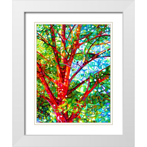 Summer Medley White Modern Wood Framed Art Print with Double Matting by Budan, Mandy