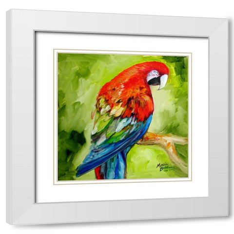 Macaw Tropical White Modern Wood Framed Art Print with Double Matting by Baldwin, Marcia