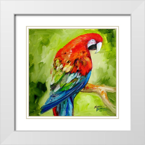 Macaw Tropical White Modern Wood Framed Art Print with Double Matting by Baldwin, Marcia