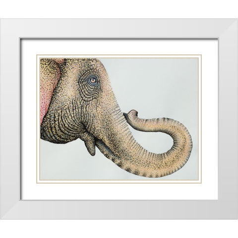 Spotted Asian Elephant 2 White Modern Wood Framed Art Print with Double Matting by Wickstrom, Martin