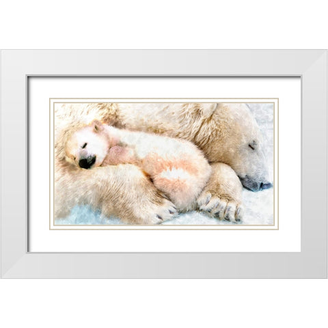 Polar Sleep White Modern Wood Framed Art Print with Double Matting by Murray Henderson Fine Art