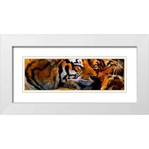 Tigers Sleep White Modern Wood Framed Art Print with Double Matting by Murray Henderson Fine Art