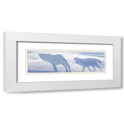 Wolf Pack Shadows White Modern Wood Framed Art Print with Double Matting by Murray Henderson Fine Art