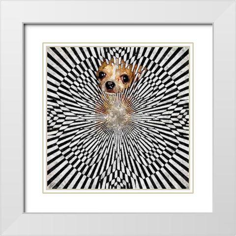Chiwhat The White Modern Wood Framed Art Print with Double Matting by Murray Henderson Fine Art