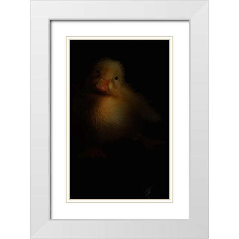 Duckling White Modern Wood Framed Art Print with Double Matting by Murray Henderson Fine Art