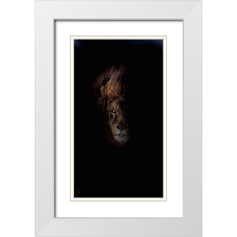Lion White Modern Wood Framed Art Print with Double Matting by Murray Henderson Fine Art
