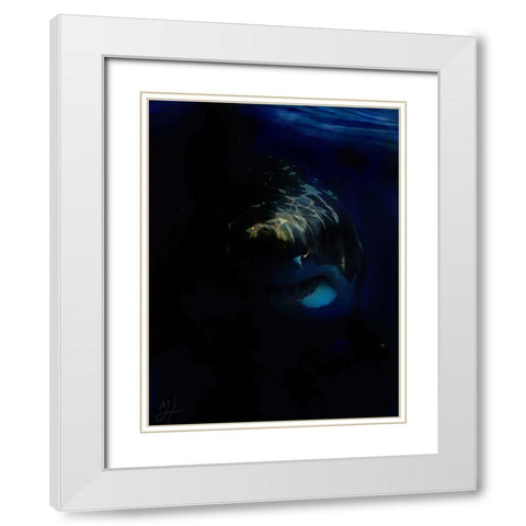 Shark Shadows (1) White Modern Wood Framed Art Print with Double Matting by Murray Henderson Fine Art