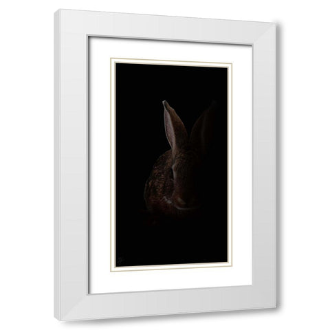 Wabbit White Modern Wood Framed Art Print with Double Matting by Murray Henderson Fine Art