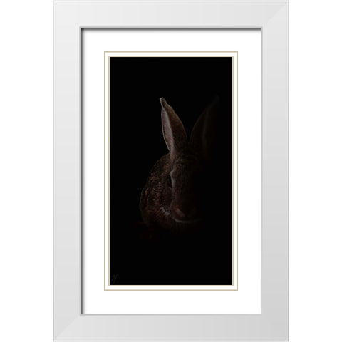 Wabbit White Modern Wood Framed Art Print with Double Matting by Murray Henderson Fine Art