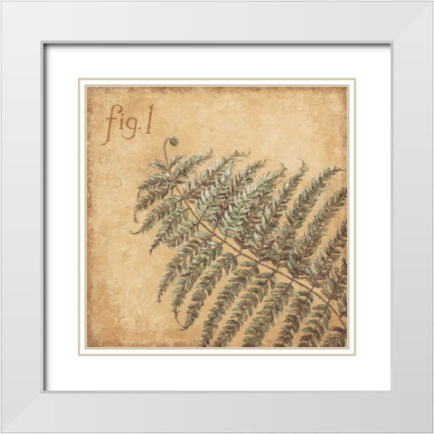 Fern Figurative White Modern Wood Framed Art Print with Double Matting by Zaccheo, John
