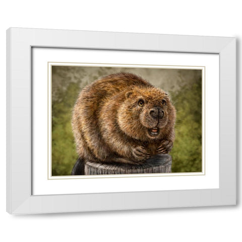 Beaver Totem White Modern Wood Framed Art Print with Double Matting by LaMontagne, Patrick