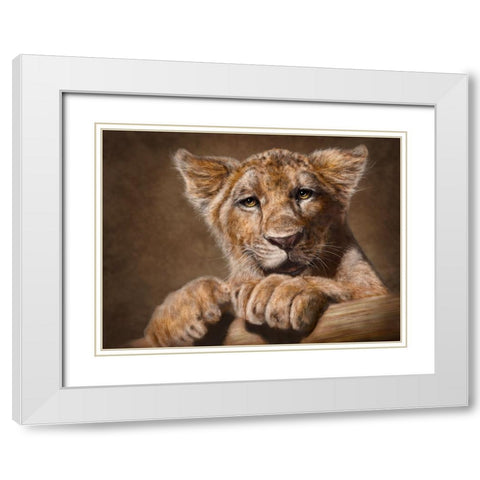 Lion Cub White Modern Wood Framed Art Print with Double Matting by LaMontagne, Patrick