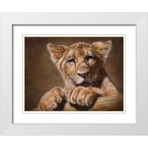 Lion Cub White Modern Wood Framed Art Print with Double Matting by LaMontagne, Patrick