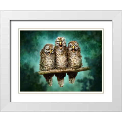 One Hoot Wonders White Modern Wood Framed Art Print with Double Matting by LaMontagne, Patrick